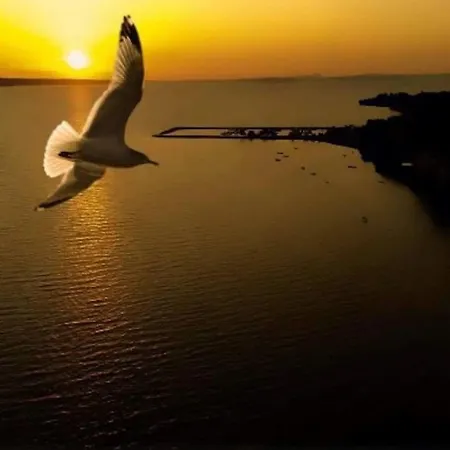 Apartman Wohnung A2 Direkt Am By Interhome Ljubac (Zadar)
